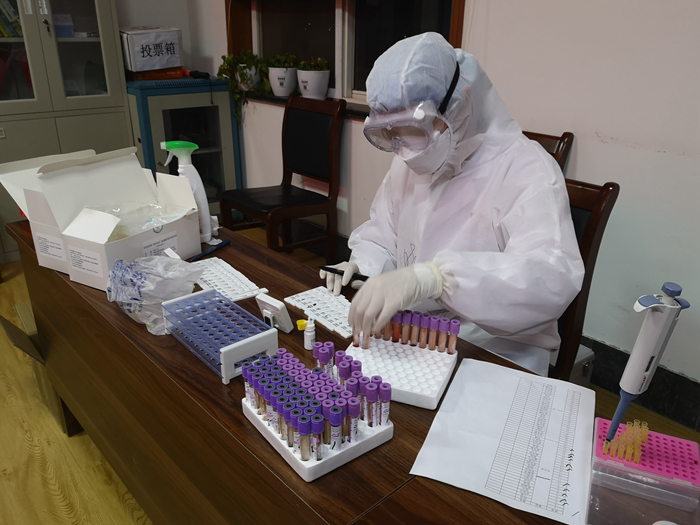 1583198268103457.jpg 图3:病毒检测_副本.jpg