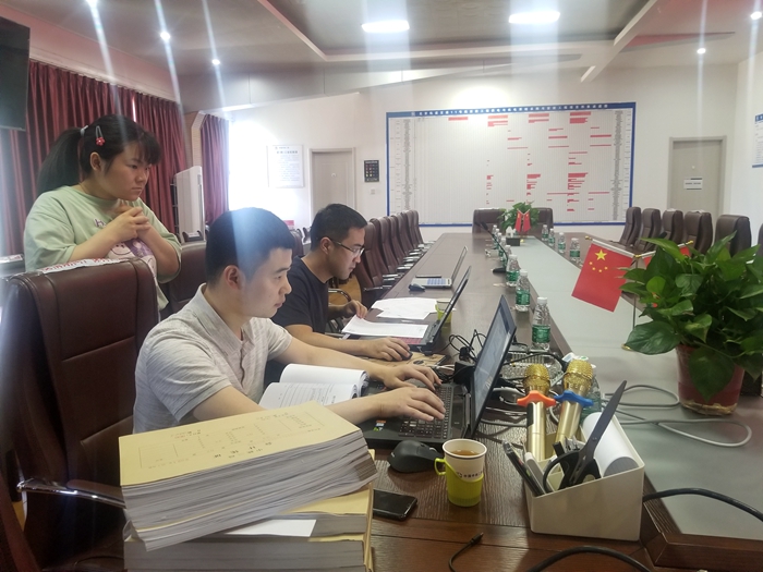 图3：公司检查组检查项目财务工作.jpg