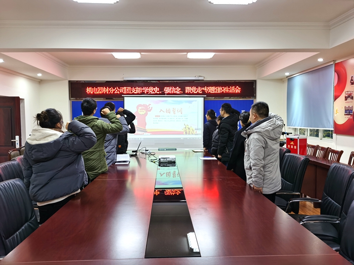 附图4：重温入团誓词.jpg
