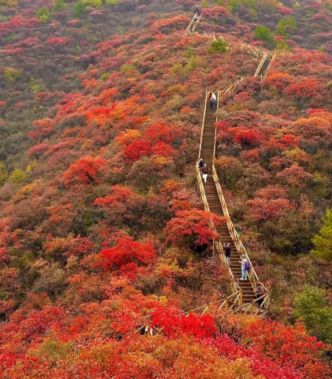 1761187758386683.jpg 全景.jpg